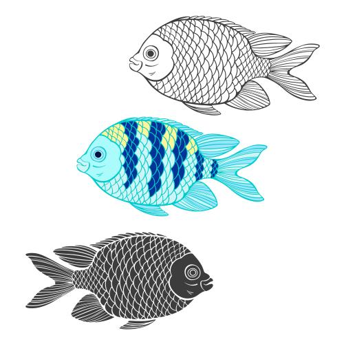 Vector image exotic fish, outline and silhouettes on white, three variations