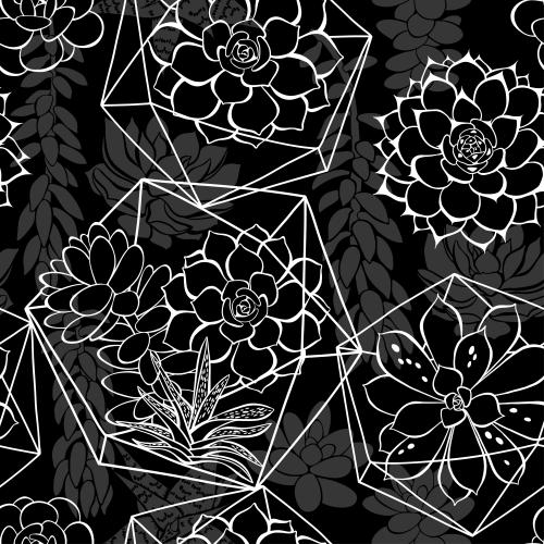 Succulent. Vector succulents in a florarium and without white contours and gray silhouettes on white