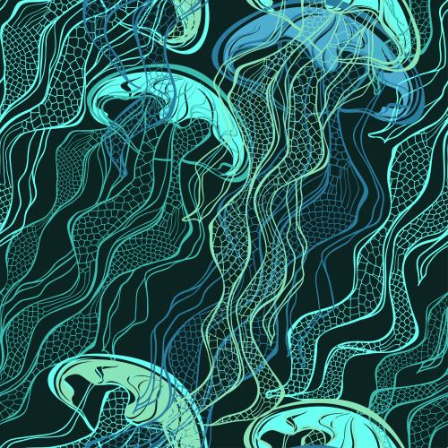 Jellyfish. Vector jellyfish multicolored outlines on black