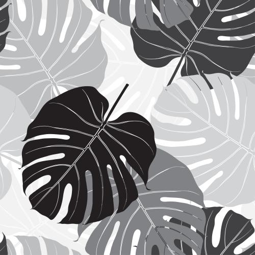 Palm. Vector monochrome palm leaves on white