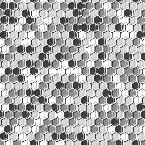 Illustration monochrome honeycombs contours and silhouettes