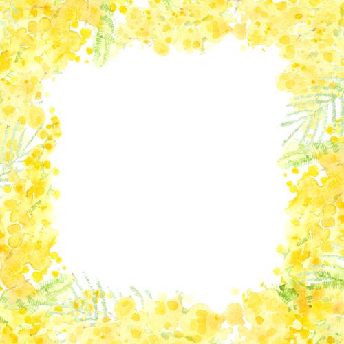 Raster image watercolor mimosa, square frame on white