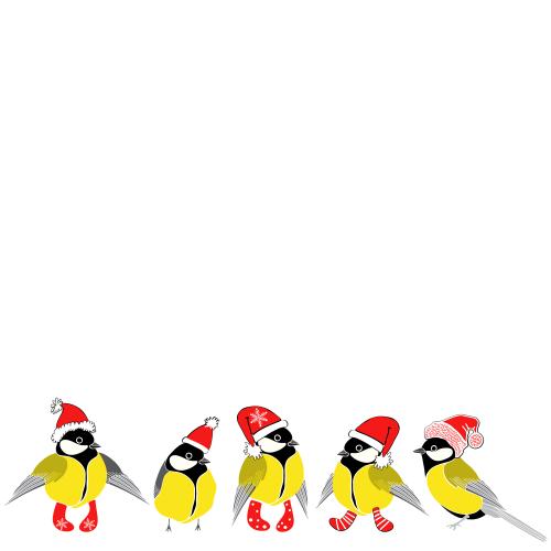 Titmouse. Vector titmice in new year's hats and socks, space for text on white
