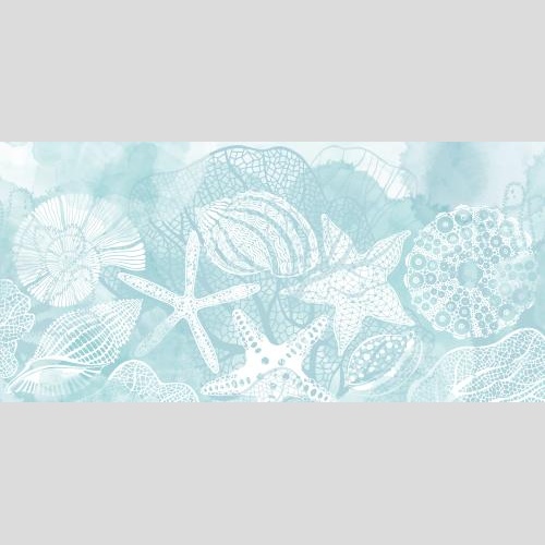 Illustration sea stars shells nautilus sea urchin corals on blue watercolor