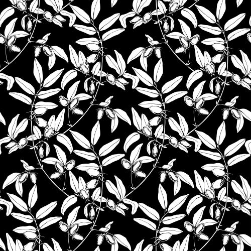 Honeysuckle. Vector honeysuckle branches with berries white silhouettes on black