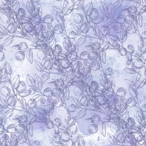Vector image blueberry branches with berries colored outlines on lavender watercolor