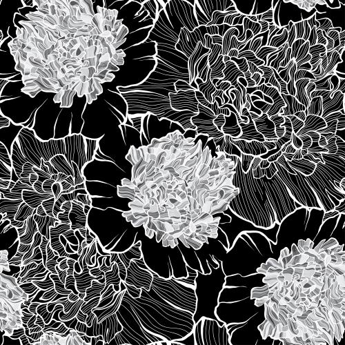 Peony. Vector peonies silhouettes and contours on black
