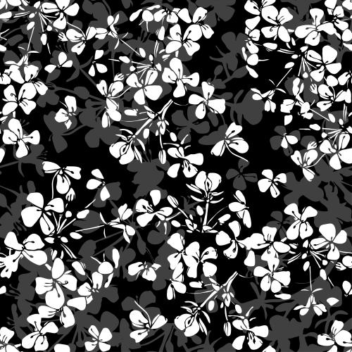 Vector image white and gray silhouettes of flower inflorescences on black
