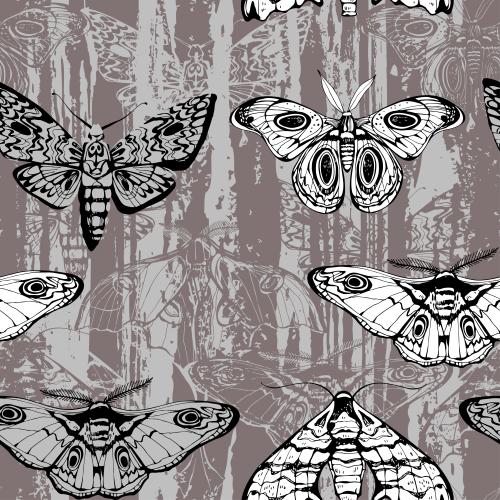 Illustration night butterflies contours and silhouettes on textured colored