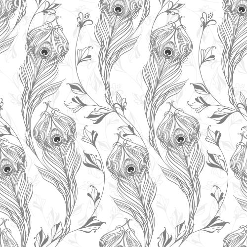 Feather. Vector fantasy plants and peacock feathers, gray silhouettes on white