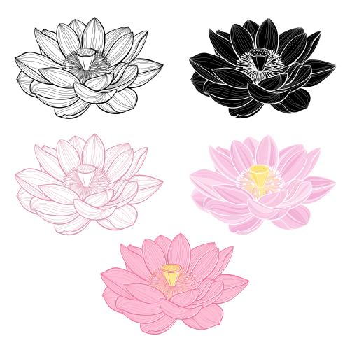 Lotus. Vector lotus flowers, five different options on white