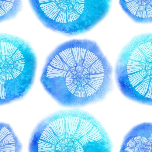 Illustration nautiluses, watercolor circles on white