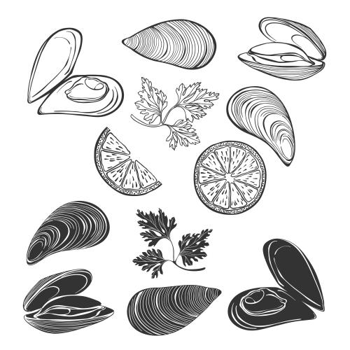 Vector image mussels slices and wedges of lemon parsley sprigs contours and silhouettes on white