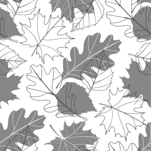 Vector image monochrome oak birch and maple leaves contours and silhouettes on white