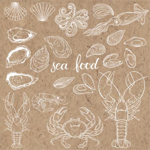 Scallop. Vector seafood: lobster, crab, crayfish, shrimp, mussels, oysters, scallops, octopus, hake on craft