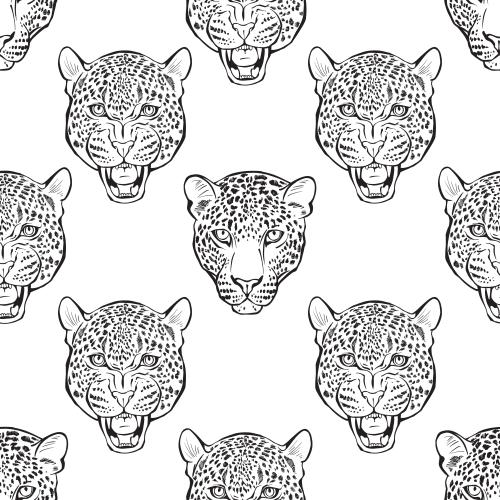 Leopard. Vector leopard heads on white
