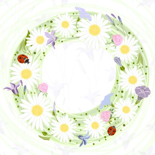 Bindweed. Vector round frame with flowers and ladybugs on a flower field