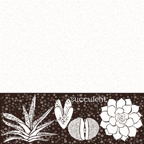 Succulent. Vector succulents on a horizontal brown stripe in checkered pattern and text area on white