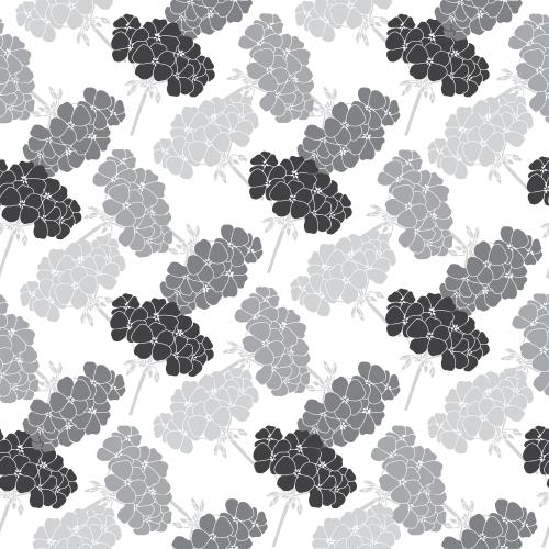 Geranium. Vector monochrome geranium flowers on white