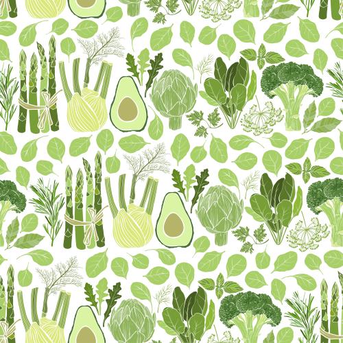Basil. Vector vegetables and culinary herbs on white