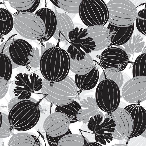 Gooseberry. Vector gooseberries, black and gray silhouettes on white