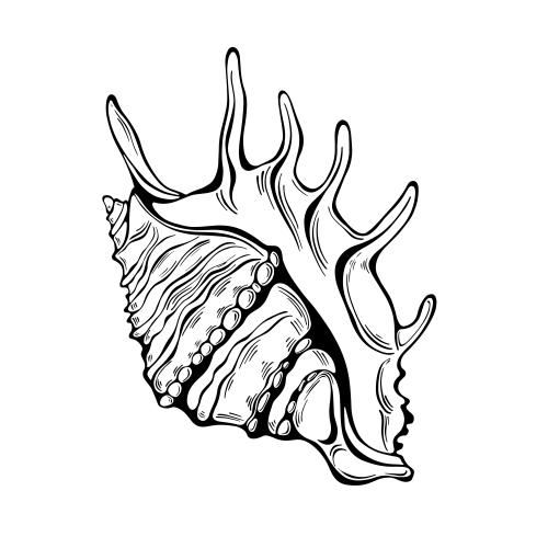 Illustration black outline on white