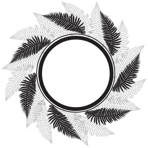 Fern. Vector circular frame with fern leaves black outlines and silhouettes on white