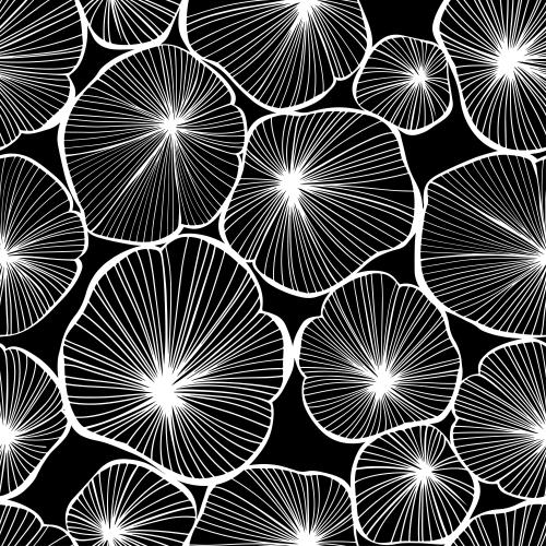Vector image leaves on black