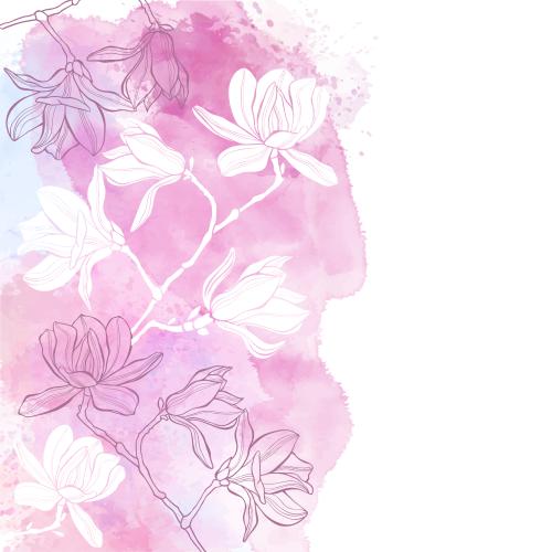 Vector image magnolia contours and silhouettes on watercolor space for text on white