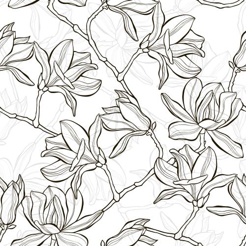 Magnolia. Vector bloomed magnolia branches on white