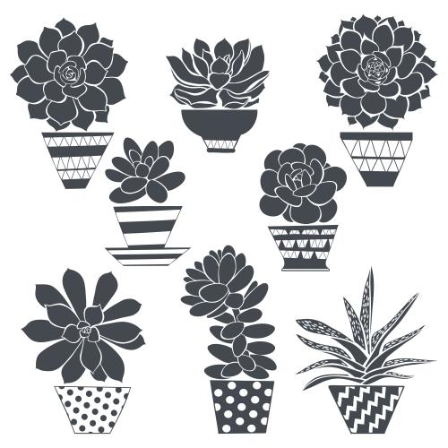 Illustration succulents in pots black silhouettes on white