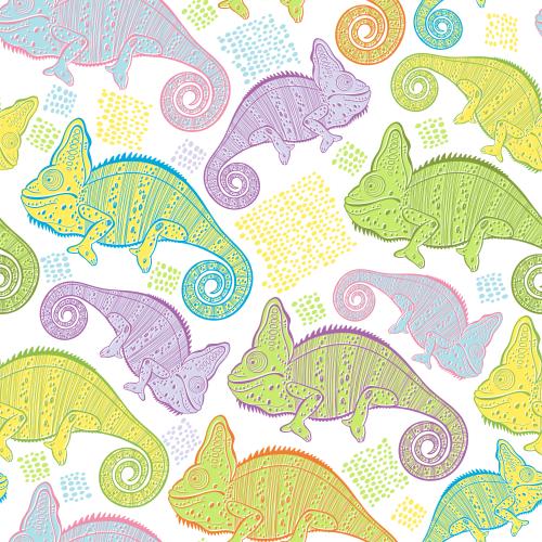 Chameleon. Vector cute multicolored chameleons on white