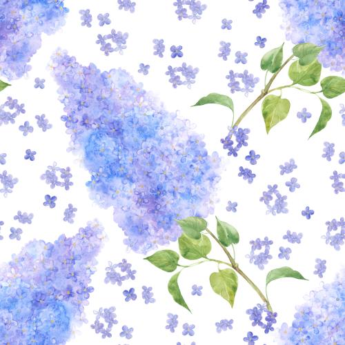 Lilac. Vector watercolor lilac on white