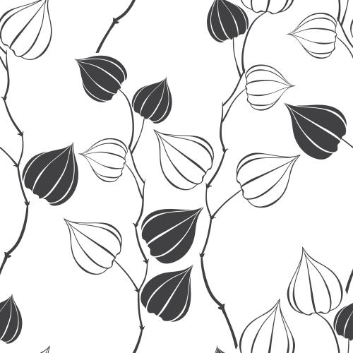 Physalis. Vector Pattern physalis on white