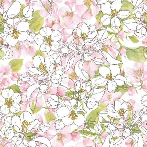 Raster image apple tree flowers on white
