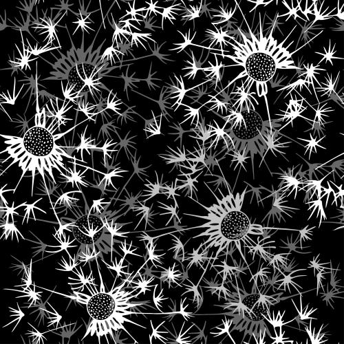 Dandelion. Vector dandelions on black