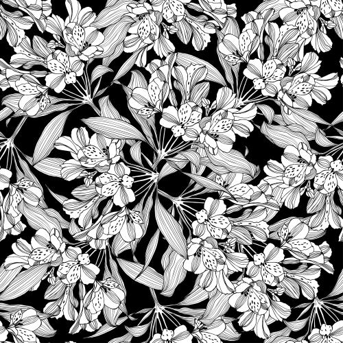 Alstroemeria. Vector flowers alstromeria on black