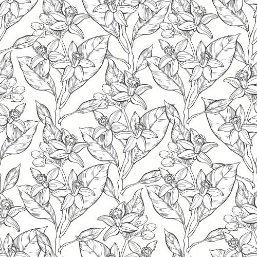 Vector image neroli on white