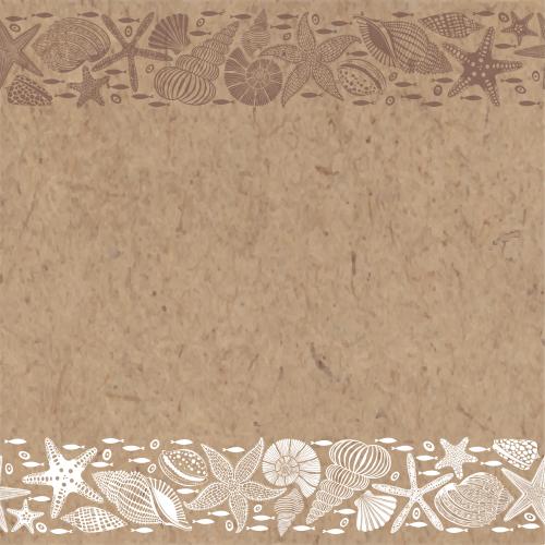 Vector image sea stars shells nautilus fish brown and white outlines and silhouettes space for text on craft