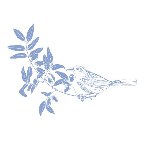 Vector image bird on honeysuckle branch