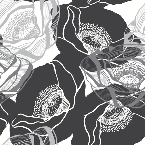 Poppy. Vector silhouettes and contours of poppies on white