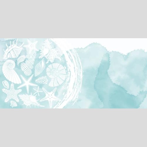 Female. Vector marine-themed postcard with sea stars, shells, nautiluses, wave, and text space on blue watercolor
