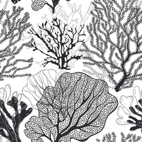 Illustration coral, contours and silhouettes on white