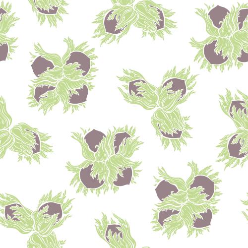 Vector image hazelnut, colorful silhouettes of forest nuts on white