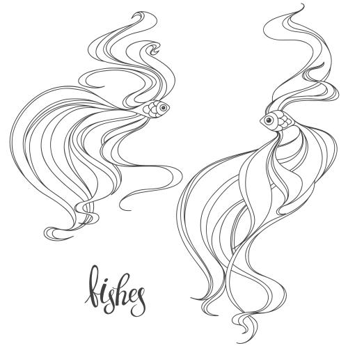 Vector image two fish outlines on white