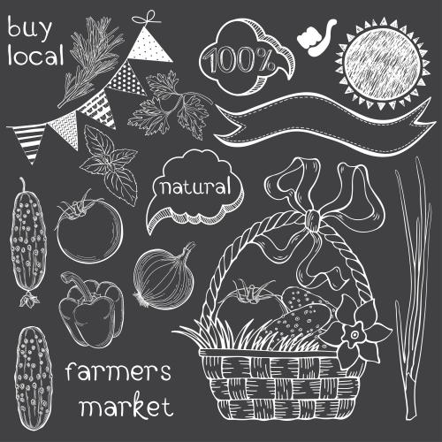 Basil. Vector farm vegetables and culinary herbs, vegetable basket, symbols and text on black