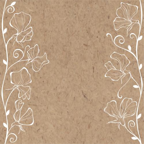 Sweet pea. Vector scented peas, white outlines of flowers, place for text on craft