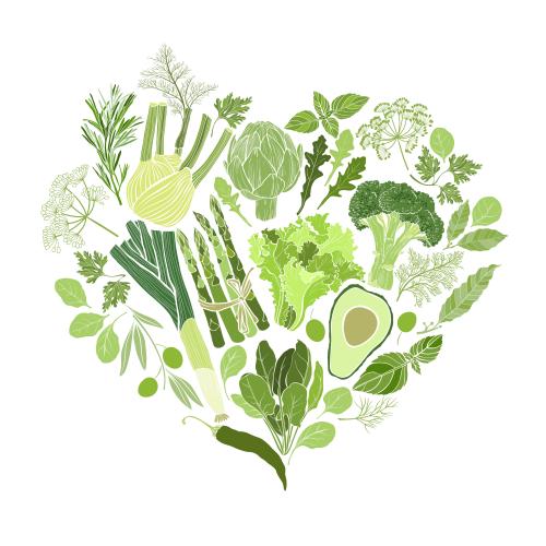 Basil. Vector vegetables and culinary herbs on white, composition in the shape of a heart