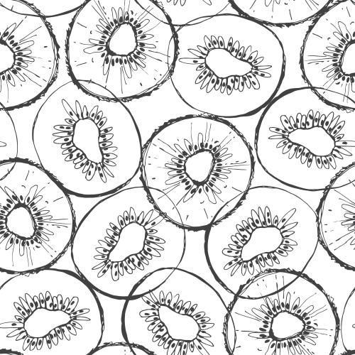 Vector image kiwi, slices on white, contours