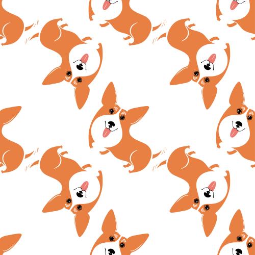 Animals. Vector cartoon corgis on white